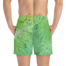 Load image into Gallery viewer, &quot;Lac La Peche&quot; Men&#39;s Swim Trunks
